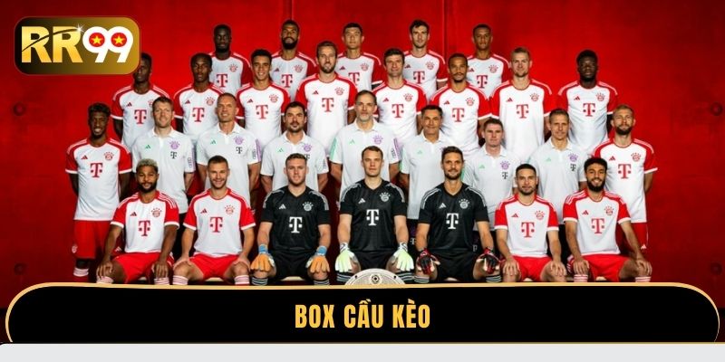 box-cau-keo